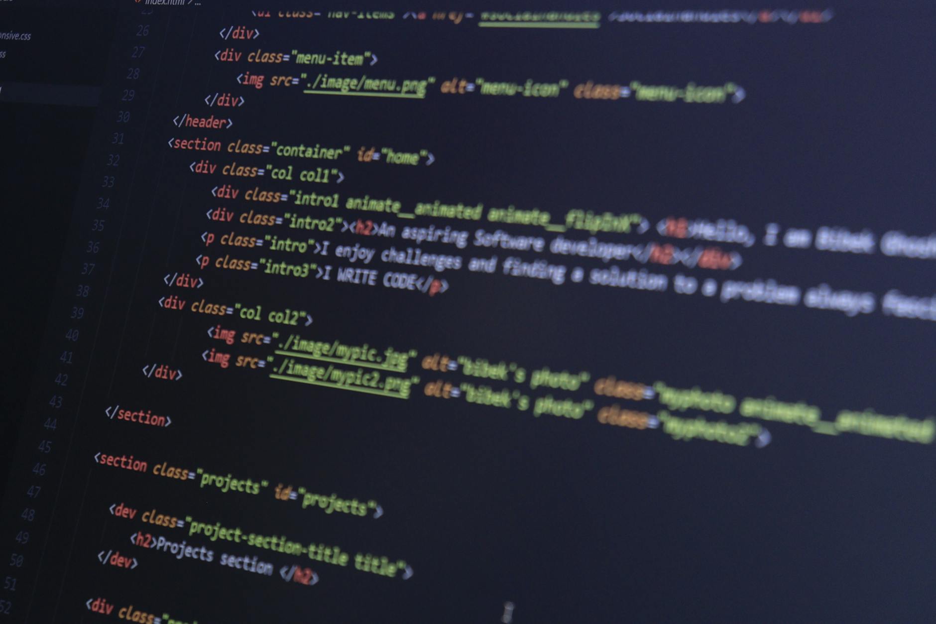 Obsidian 安全与隐私保障